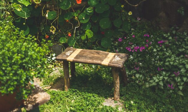 Whimsical Creations: A Delightful Display of British Ingenuity