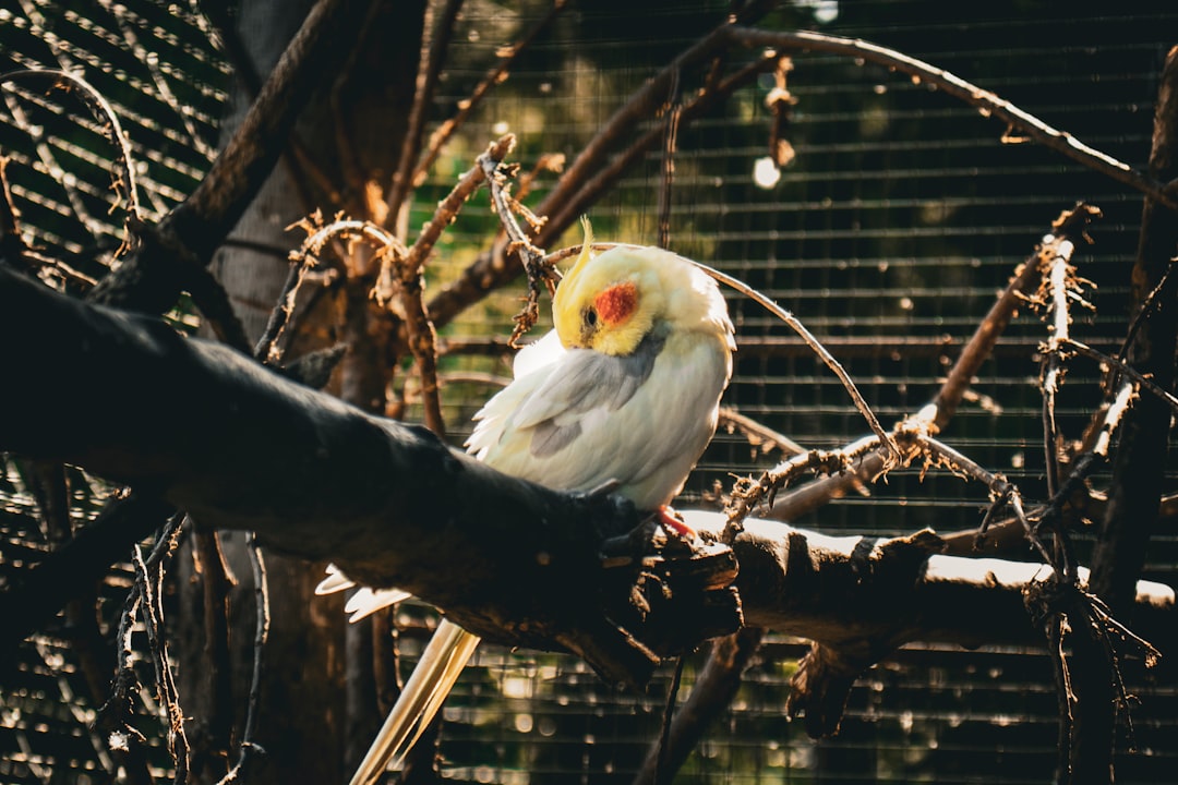 Creating Visual Harmony: The Art of Balance and Composition