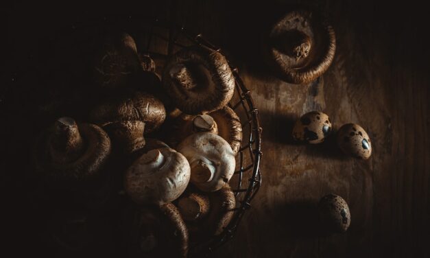 An in depth guide to the artist Lucas Cranach the Elder