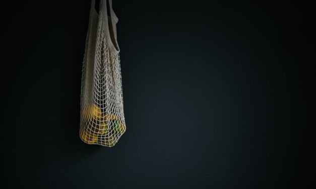 An in depth guide to the artist Lucas van Leyden