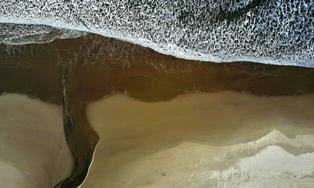 An in depth guide to the artist Rembrandt van Rijn