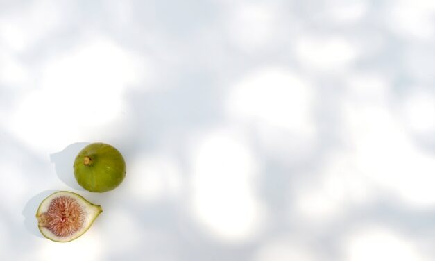 An in depth guide to the artist Aelbert Cuyp