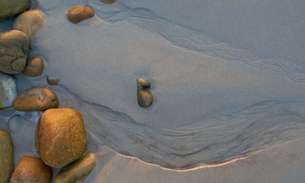 An in depth guide to the artist Jan Steen