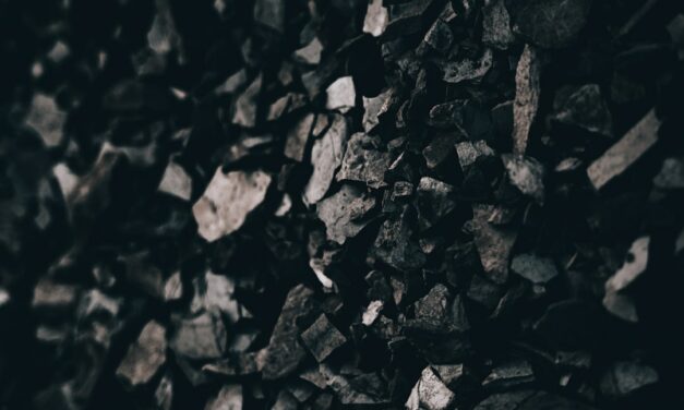 An in depth guide to the artist Pieter de Hooch