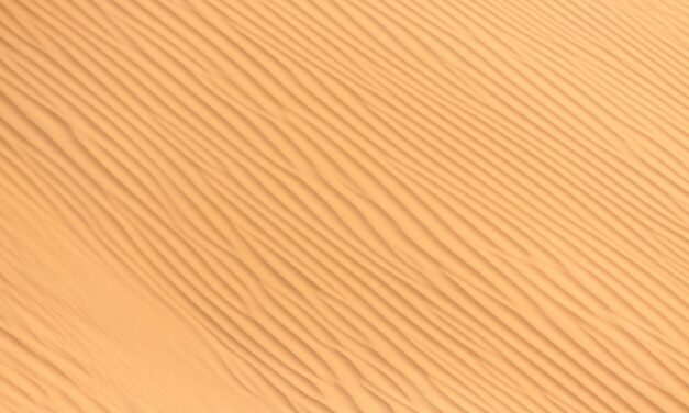 An in depth guide to the artist Gerrit Dou