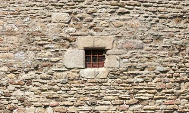 An in depth guide to the artist Willem Kalf