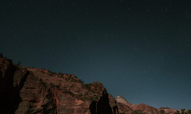 An in depth guide to the artist Abraham van Beyeren