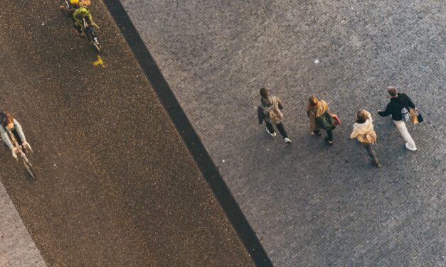 An in depth guide to the artist Jan Davidsz de Heem