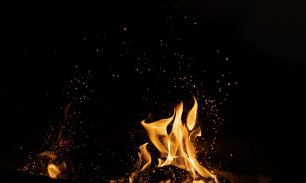 An in depth guide to the artist Nicolaes Berchem