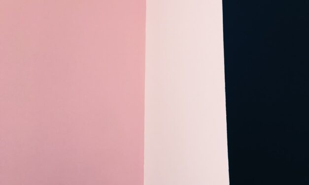 An in depth guide to the artist Jan van Goyen