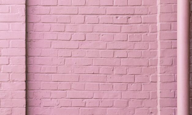 An in depth guide to the artist Pieter Jansz Saenredam