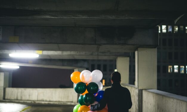 An in depth guide to the artist Paul de Vos