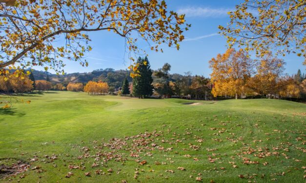 The life story of the artist Théodore Géricault