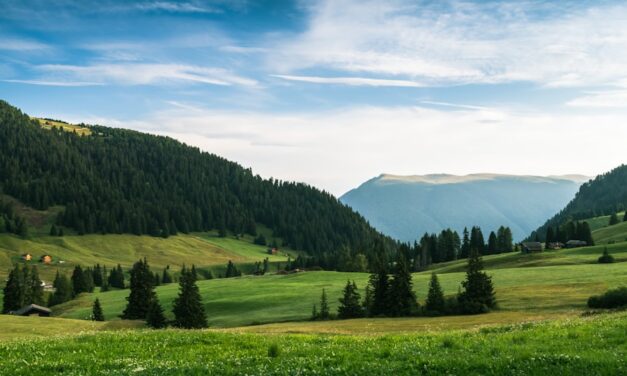 The life story of the artist Johann Heinrich Füssli