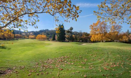 The life story of the artist J.M.W. Turner