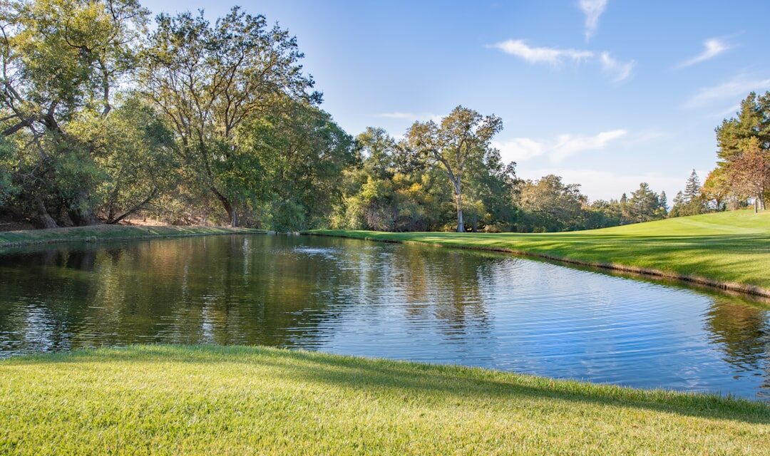 The life story of the artist Dante Gabriel Rossetti