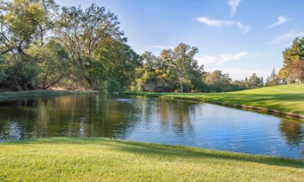 The life story of the artist Dante Gabriel Rossetti