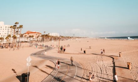 The life story of the artist John Everett Millais