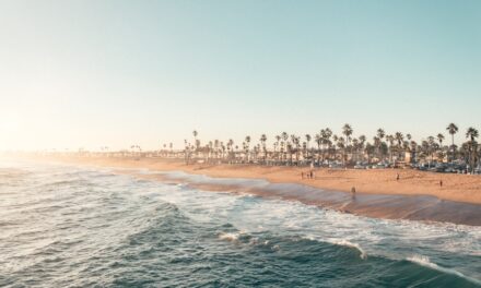The life story of the artist Edward Burne-Jones