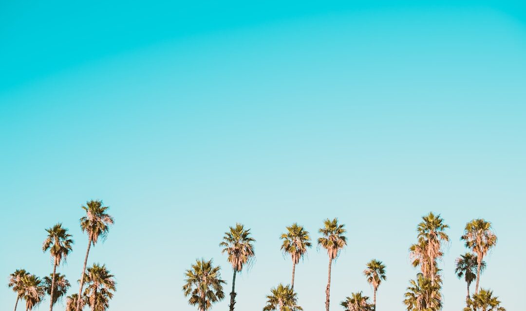 The life story of the artist William Morris