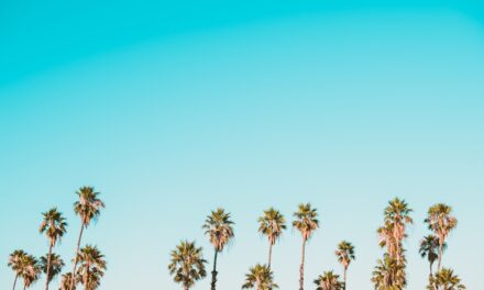 The life story of the artist Lawrence Alma-Tadema