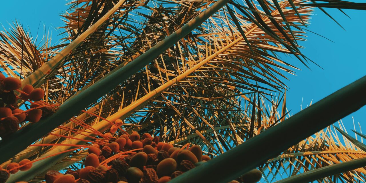 The life story of the artist Samuel Palmer