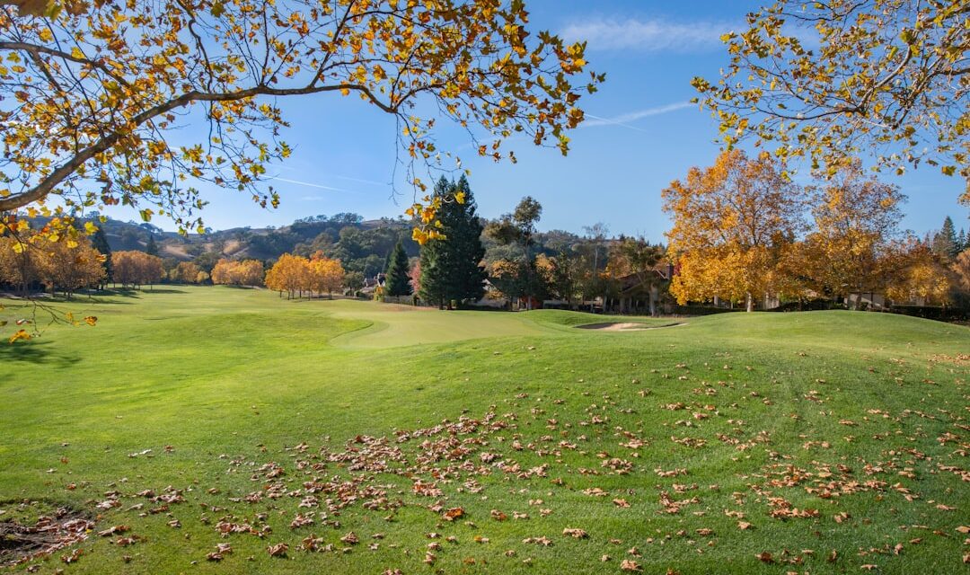 The life story of the artist Thomas Girtin