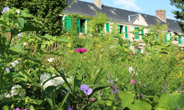 An in depth guide to the artist Claude Monet