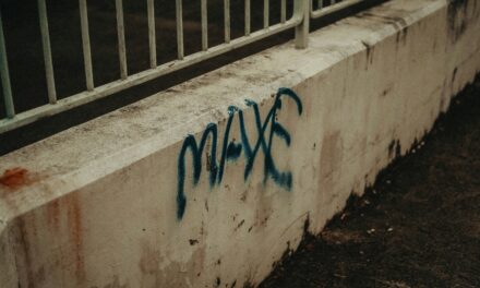 An in depth guide to the artist Max Kurzweil