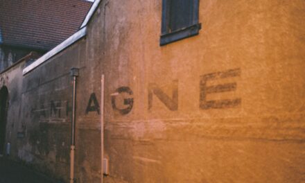 The life story of the artist René Magritte
