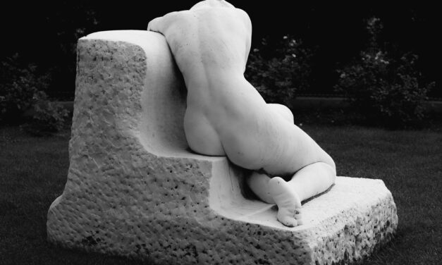 The life story of the artist Hans Arp