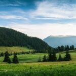 An in depth guide to the artist Arkhip Kuindzhi
